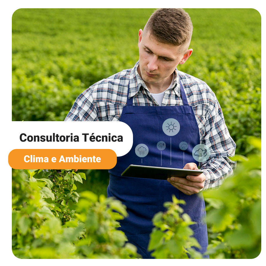 Consultoria Técnica